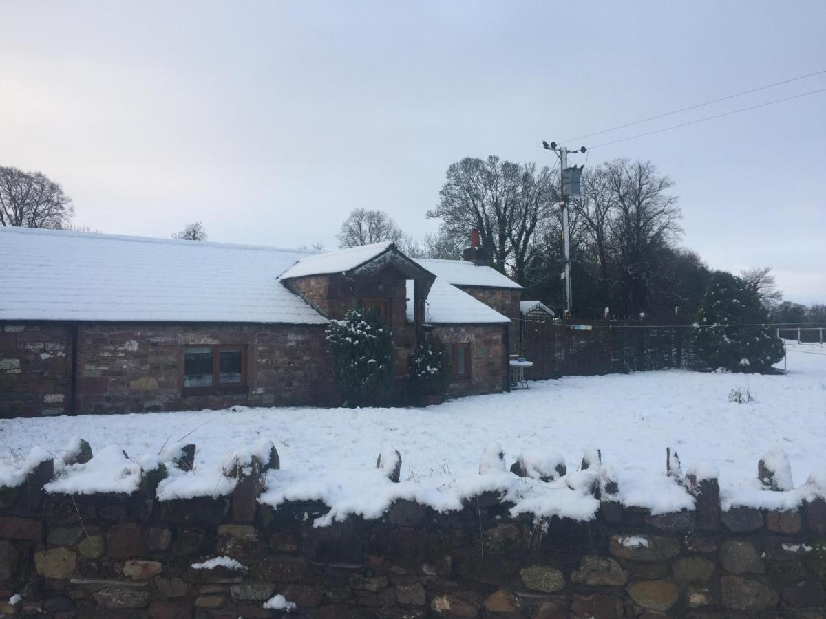 The Nook Cottage Carlisle  Dış mekan fotoğraf